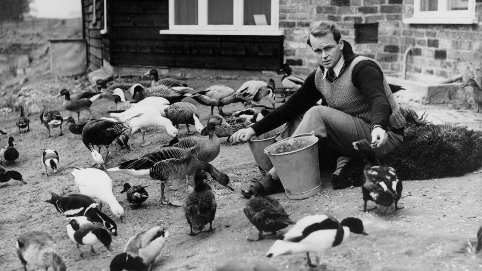 Peter Scott feeding geese at Slimbridge